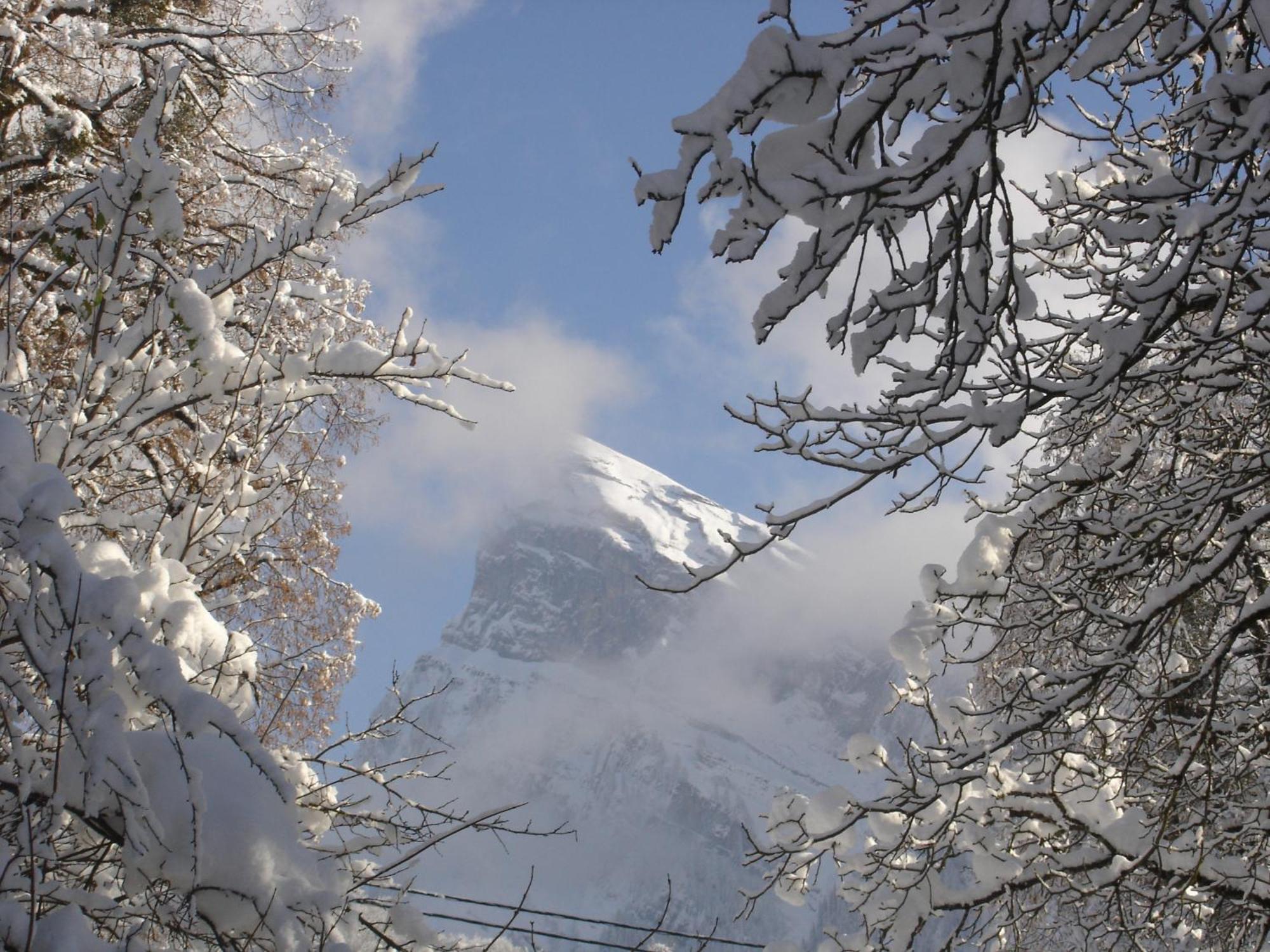 Edelweiss Hotel Samoëns Buitenkant foto