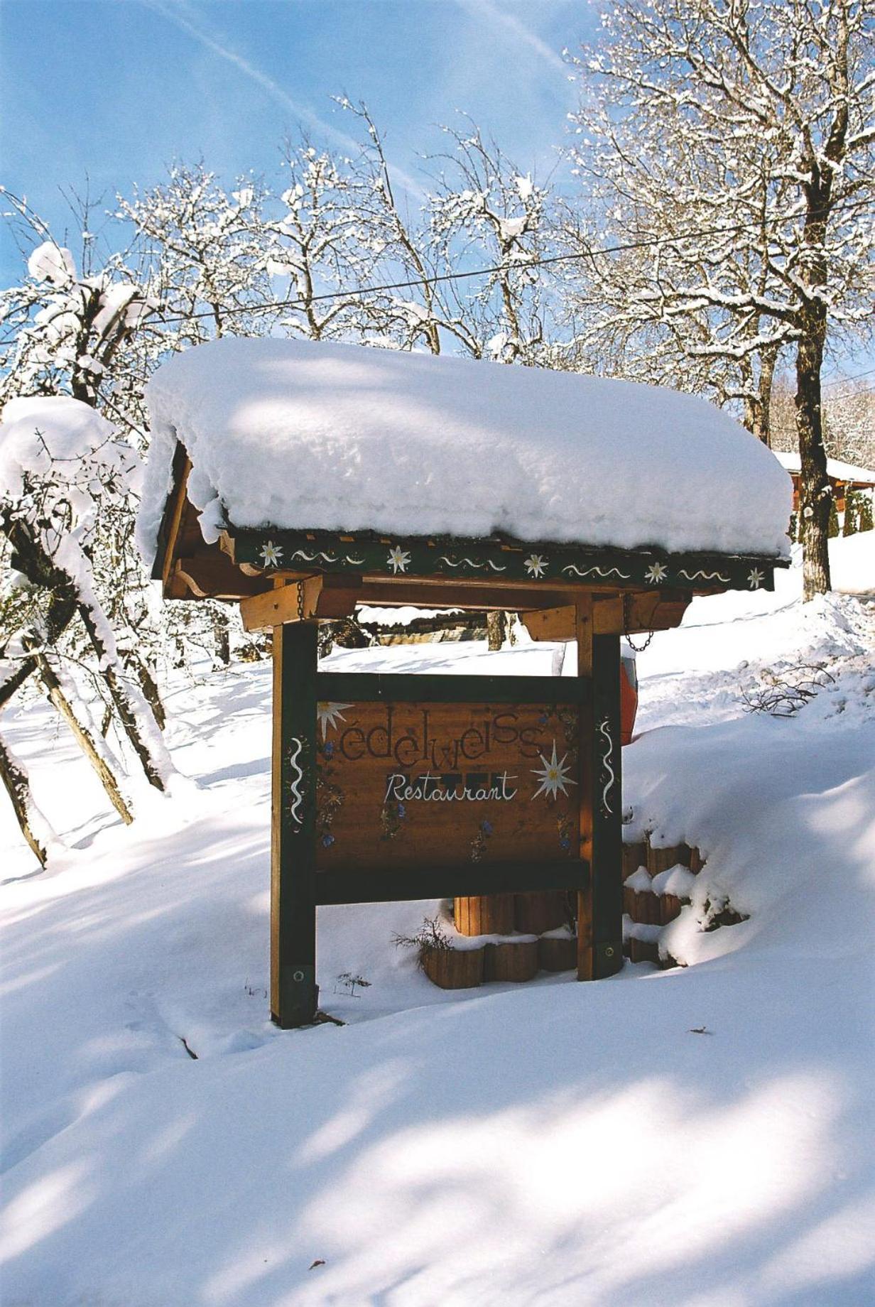 Edelweiss Hotel Samoëns Buitenkant foto
